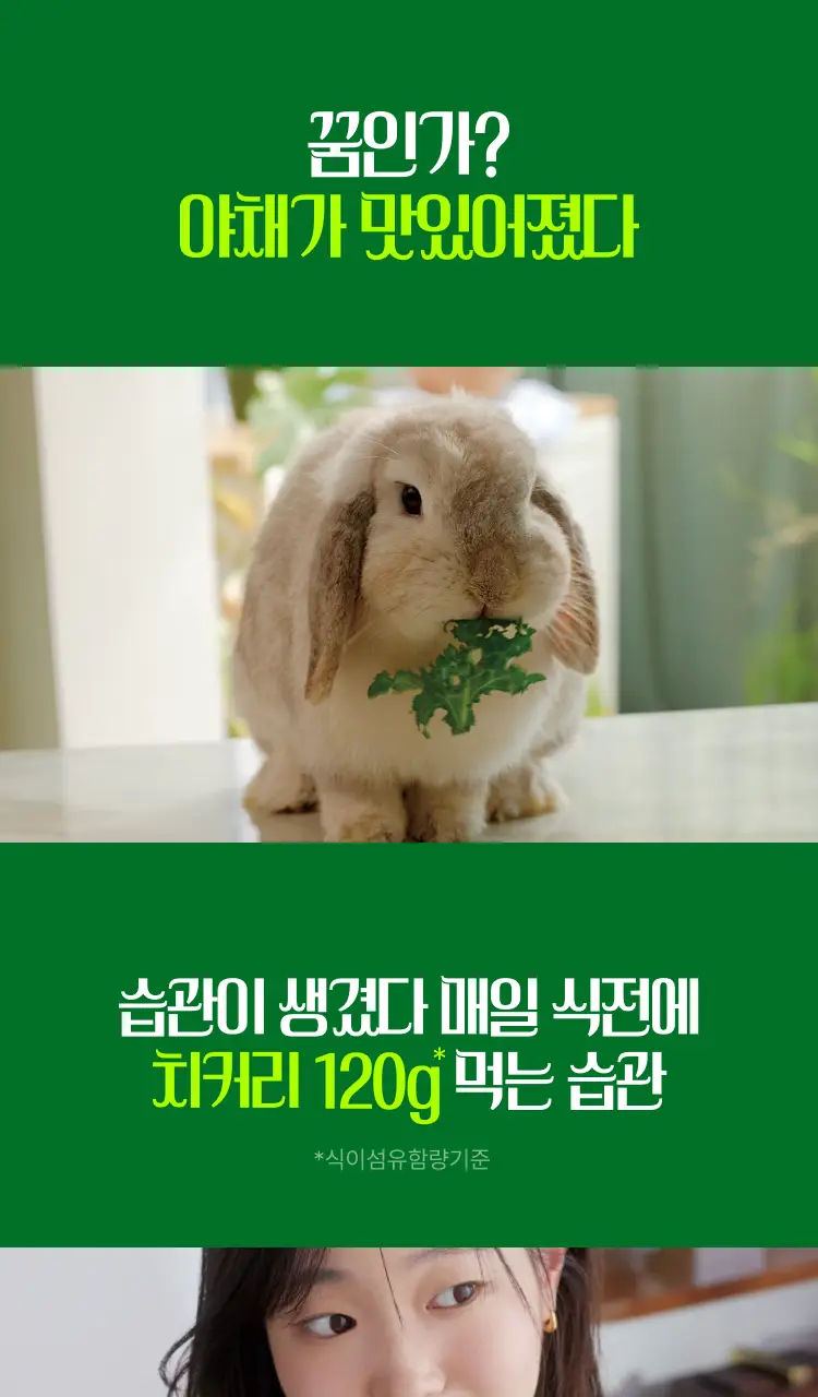 [식전 포켓샐러드] 글루어트 베지 스타터 14포 (자몽맛/요구르트맛) 상세페이지 2